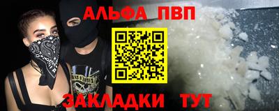 стафф Ставрополь