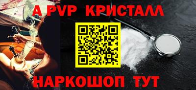 стафф Ставрополь