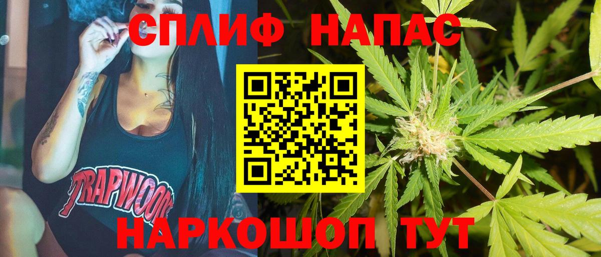 Конопля гибрид Черняховск